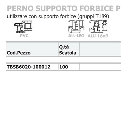 PERNO SUPPORTO BANDELLA                            [#] (100)