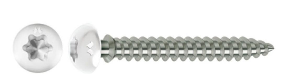 VITI PVC CLIP LACC.BIANCA TORX 100 PZ.                  (15)