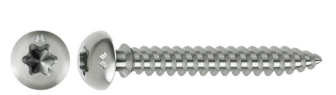 VITI PVC CLIP CHROMITING  6x70 TORX 100 PZ.             (15)