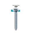 VITI TS AUTOFILETTANTI 4,8X38